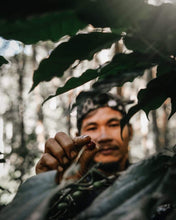 Load image into Gallery viewer, Mae Hong Son Typica Natural Cold Fermentation