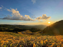 Load image into Gallery viewer, MAE HONG SON SPECIAL NATURAL LOT