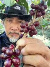 Load image into Gallery viewer, MAE HONG SON SPECIAL NATURAL LOT