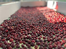 Load image into Gallery viewer, MAE HONG SON SPECIAL NATURAL LOT