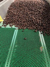 Load image into Gallery viewer, MAE HONG SON SPECIAL NATURAL LOT