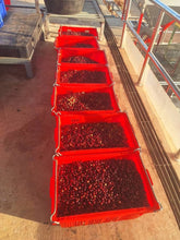 Load image into Gallery viewer, MAE HONG SON SPECIAL NATURAL LOT