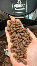 Load image into Gallery viewer, PANAMA ALTIERI CHOMBI GEISHA GREEN TIP PRE DIRED NATURAL COLD FERMENTATION