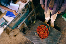 Load image into Gallery viewer, ETHIOPIA AYLA BOMBE NATURAL