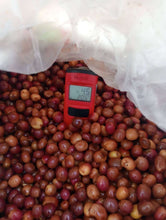 Load image into Gallery viewer, Mae Hong Son Typica Natural Cold Fermentation