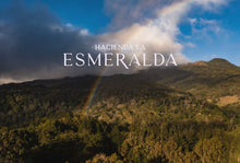 Load image into Gallery viewer, PANAMA HACIENDA LA ESMERALDA SPECIAL GEISHA MARIO ARRIBA 3FB LOW TEMPERATURE FERMENTATION