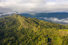 Load image into Gallery viewer, COLOMBIA LA MARIA CHIROSO WASHED