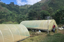 Load image into Gallery viewer, COLOMBIA LA MARIA CHIROSO WASHED