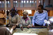 Load image into Gallery viewer, ETHIOPIA "HUKE PREMIUM" NATURAL SHADE DRIED