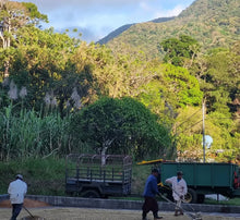 Load image into Gallery viewer, PANAMA FINCA CANDELA SL28 WASHED