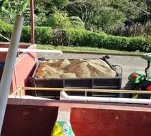 Load image into Gallery viewer, PANAMA FINCA CANDELA SL28 WASHED