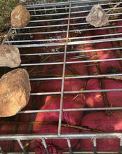 Load image into Gallery viewer, ETHIOPIA ELTO 8 DAYS RIVER FLOW FERMENTATION