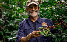 Load image into Gallery viewer, PANAMA AUROMAR GEISHA FIRESTONE WASHED