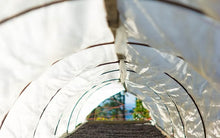 Load image into Gallery viewer, PANAMA AUROMAR GEISHA FIRESTONE WASHED