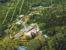 Load image into Gallery viewer, PANAMA FINCA LERIDA GEISHA NATURAL