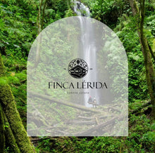 Load image into Gallery viewer, PANAMA FINCA LERIDA GEISHA NATURAL