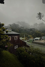 Load image into Gallery viewer, PANAMA FINCA LERIDA GEISHA NATURAL