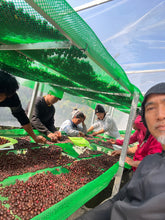 Load image into Gallery viewer, MAE HONG SON SPECIAL NATURAL LOT