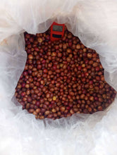 Load image into Gallery viewer, Mae Hong Son Typica Natural Cold Fermentation
