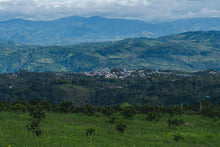 Load image into Gallery viewer, COLOMBIA EL BOMBO WASHED
