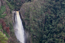 Load image into Gallery viewer, COLOMBIA EL BOMBO WASHED
