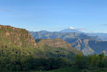 Load image into Gallery viewer, COLOMBIA EL BOMBO WASHED
