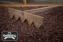 Load image into Gallery viewer, PANAMA SANTAMARIA GEISHA NATURAL
