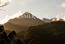 Load image into Gallery viewer, PANAMA HACIENDA LA ESMERALDA SPECIAL GEISHA MARIO ARRIBA 3FB LOW TEMPERATURE FERMENTATION
