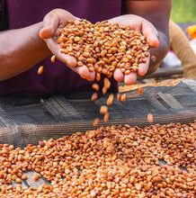 Load image into Gallery viewer, ETHIOPIA ALO GUTE VILLAGE 16 DAYS HONEY
