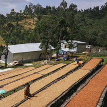 Load image into Gallery viewer, ETHIOPIA ALO GUTE VILLAGE 16 DAYS HONEY
