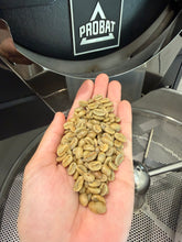 Load image into Gallery viewer, PANAMA ALTIERI CHOMBI GEISHA GREEN TIP PRE DIRED NATURAL COLD FERMENTATION
