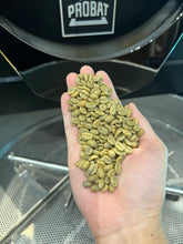 Load image into Gallery viewer, PANAMA ALTIERI ALESSA RFF-5 GREEN TIP GEISHA NATURAL
