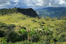 Load image into Gallery viewer, COLOMBIA LA MARIA CHIROSO WASHED

