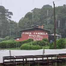 Load image into Gallery viewer, PANAMA FINCA CANDELA SL28 WASHED
