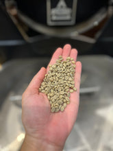 Load image into Gallery viewer, ETHIOPIA ALO MARS PROJECT CLASSIC WASHED DRIED UNDER SHADE
