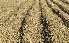 Load image into Gallery viewer, PANAMA AUROMAR GEISHA FIRESTONE WASHED
