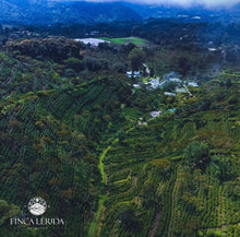 Load image into Gallery viewer, PANAMA FINCA LERIDA GEISHA NATURAL

