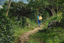 Load image into Gallery viewer, COLOMBIA LOS NOGALES PINK BOURBON WASHED
