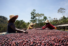 Load image into Gallery viewer, ETHIOPIA AYLA BOMBE NATURAL
