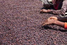 Load image into Gallery viewer, ETHIOPIA AYLA BOMBE NATURAL
